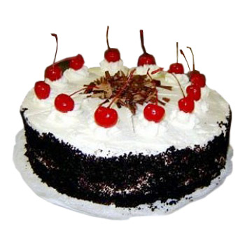 Black Forest Festive - Birthday