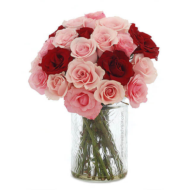 Red and Pink Roses in Vase - Rosy Cheek - Congratulations