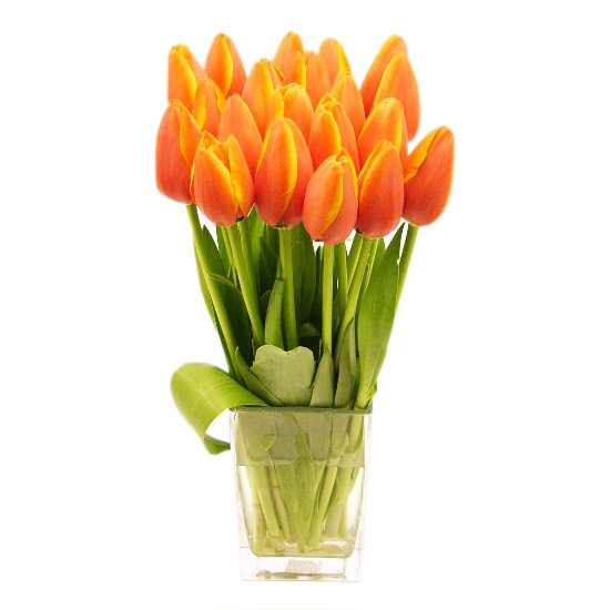 Fresh Orange Crush - Mothers Day