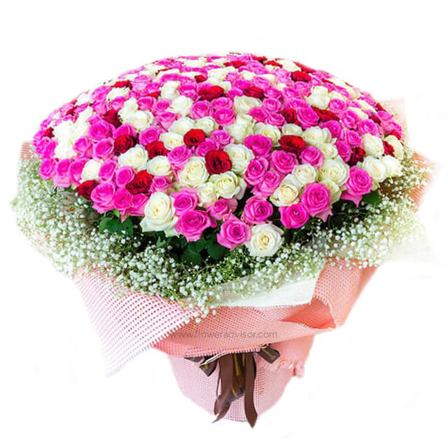 Big Bouquet of 500 Mixed Roses - Love You 500 - Wedding