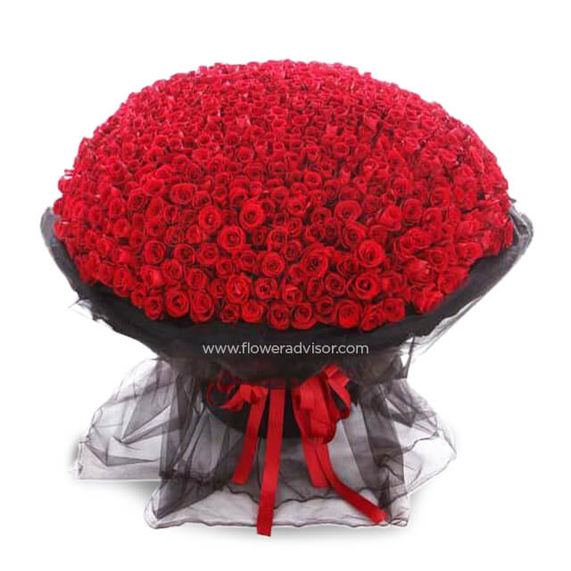 365 Luxury Red Roses Stalks Every Day with You - Valentine's Day