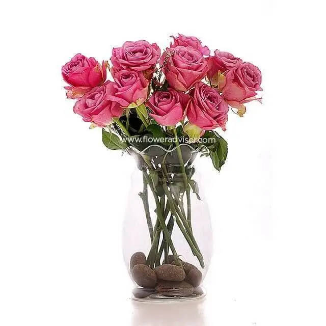 12 Pink Roses Vase Arrangement - 12 Minutes - Table Flowers