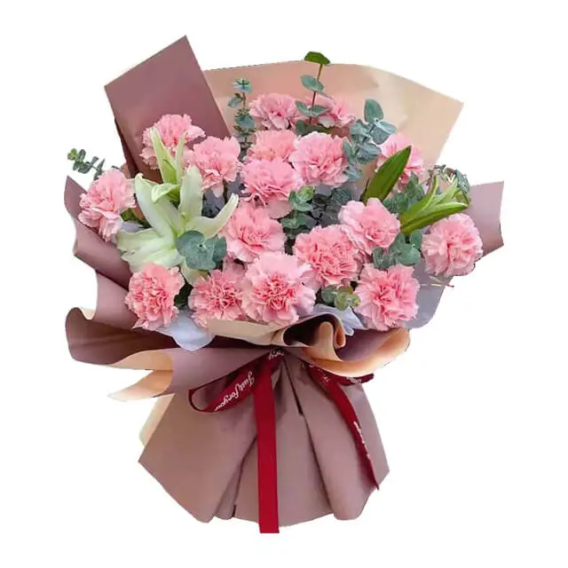 Buket Bunga - Carnation Charm - Hand Bouquets