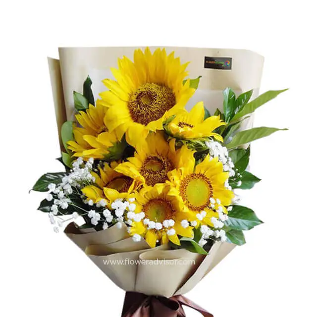 7 Sunflowers Bouquet with Baby Breath - Glowing Brightness - Anniversary