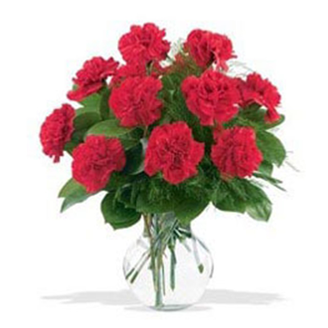 One Dozen Red Carnations - Table Flowers