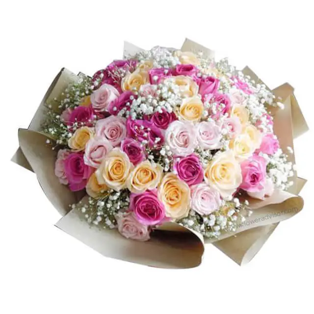 45 Mixed Roses Melting Love