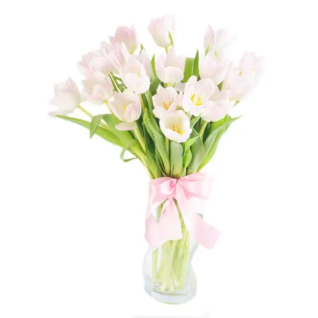 White Diamond - Classic Tulip Arrangement