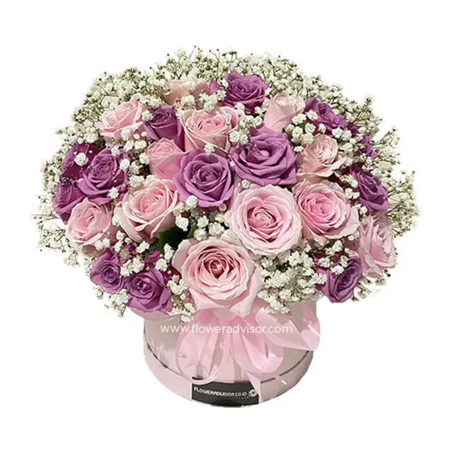 12 Pink Roses 12 Purple Roses Bloom Box - Garden of Paradise