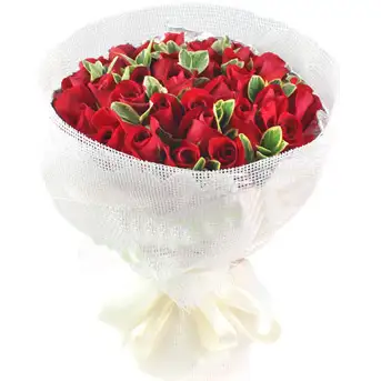 Romantic 30 Red Roses in Bloom