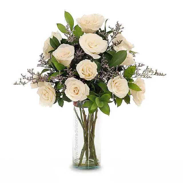 12 White Roses Bouquet - Open River