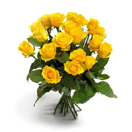 Yellow Rose Surprise Medium Bouquet